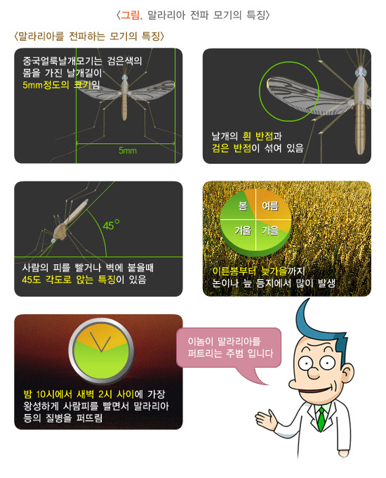 말라리아 전파 모기 특징. <질병관리청 제공>